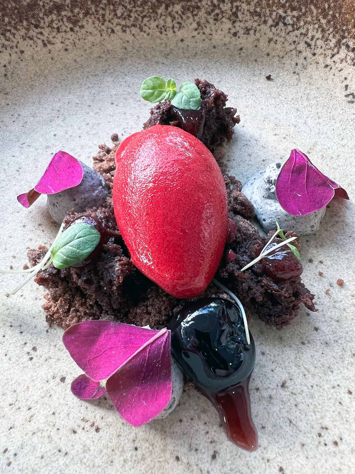 Deconstructed black forest dessert with bright pink sorbet.
