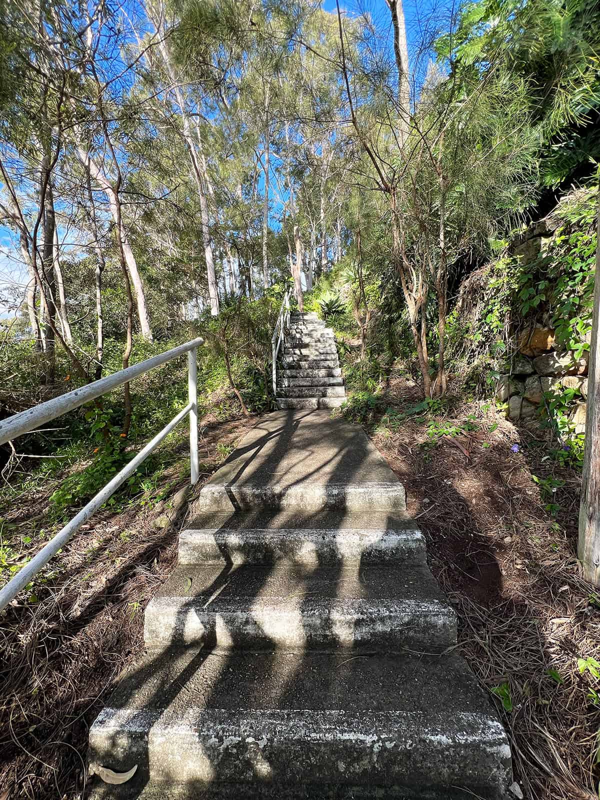 Stairs heading down to the restaurant.