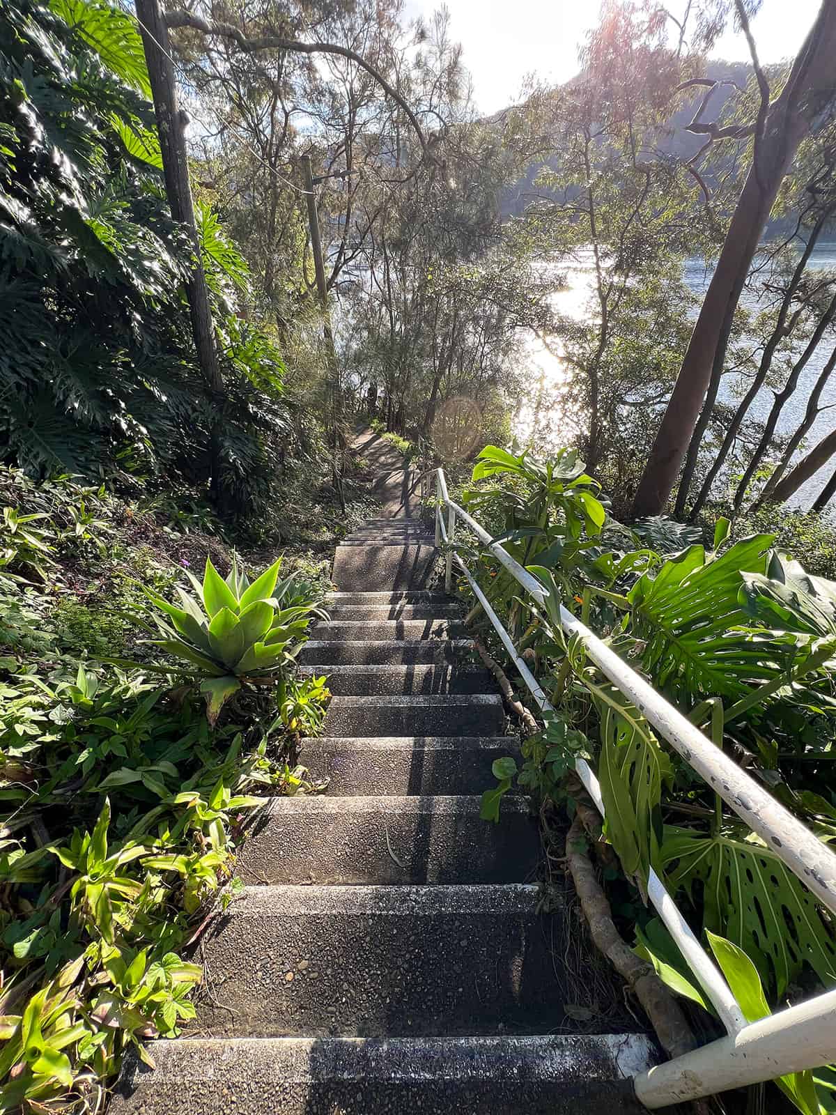 More stairs leading down to Cottage Point Inn.