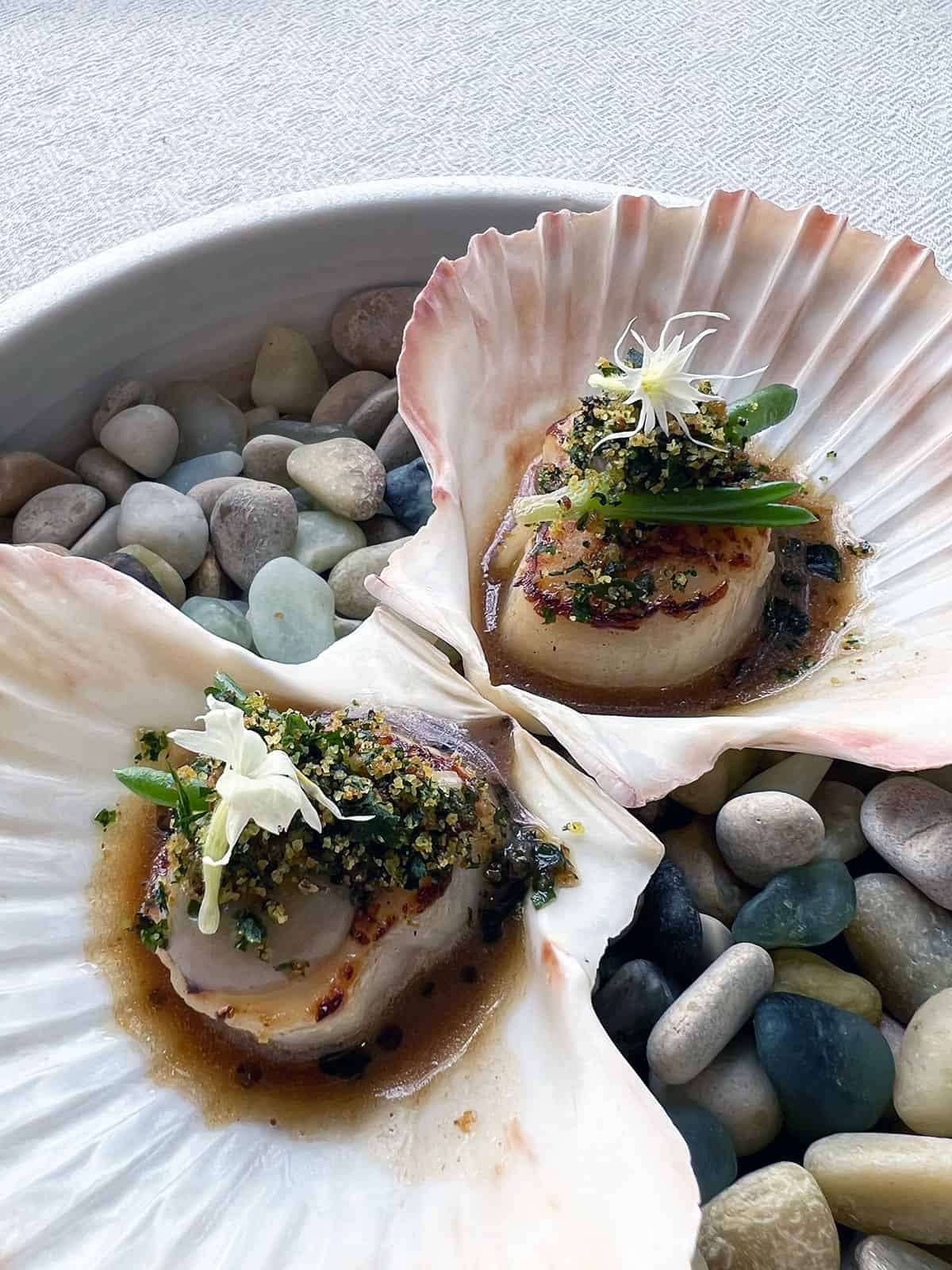 Served on the shell Hokkaido scallops topped with a crumb on a plate with pebbles.