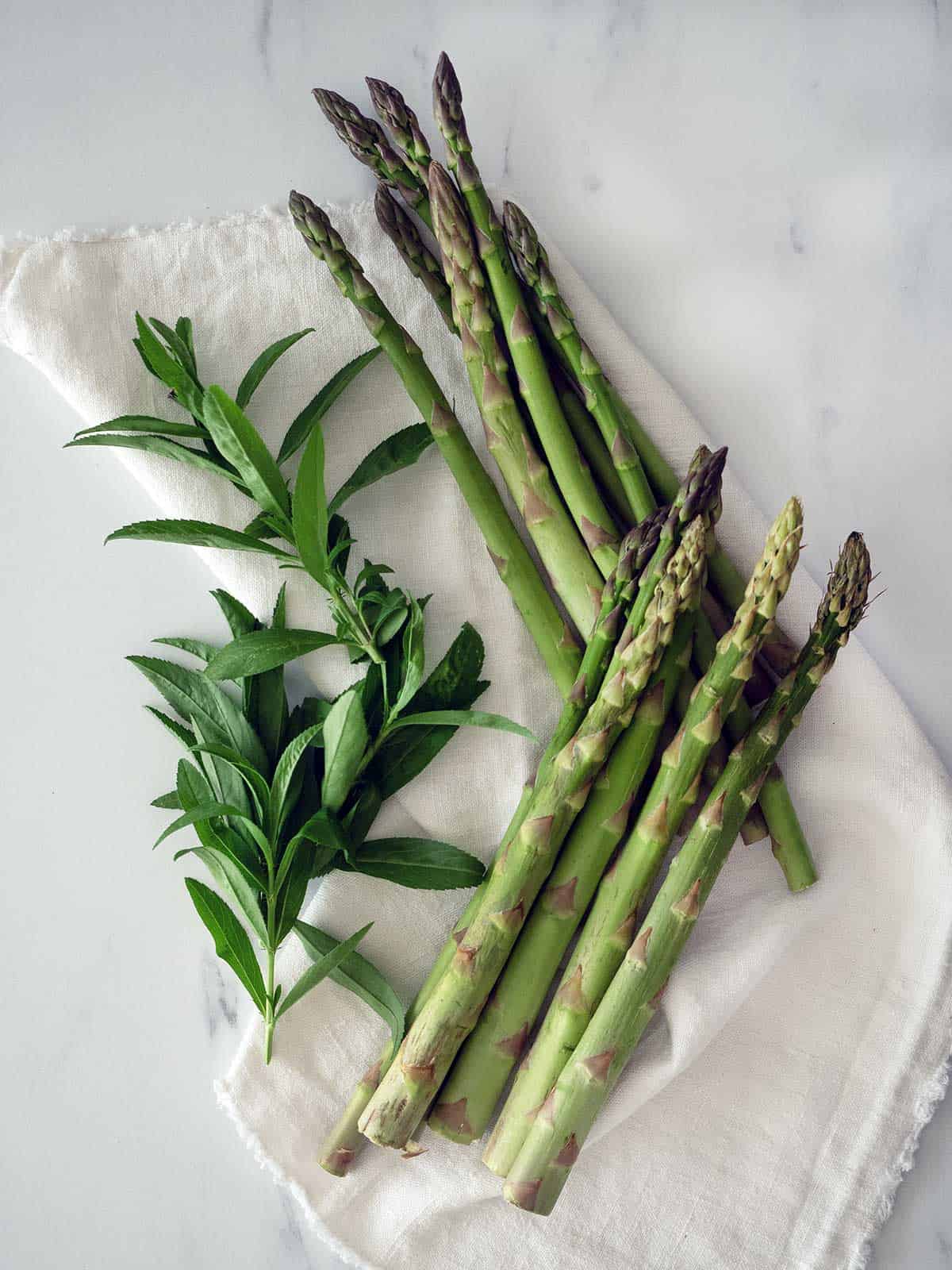 Asparagus and tarragon on a white cloth.